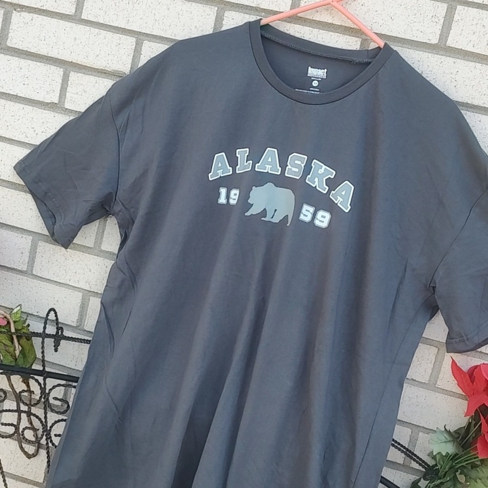 Alaska,T-Shirt - Gray - Picture 5 of 8